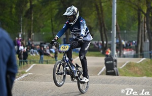 68321e8eb79d5_IMG0486.JPG
